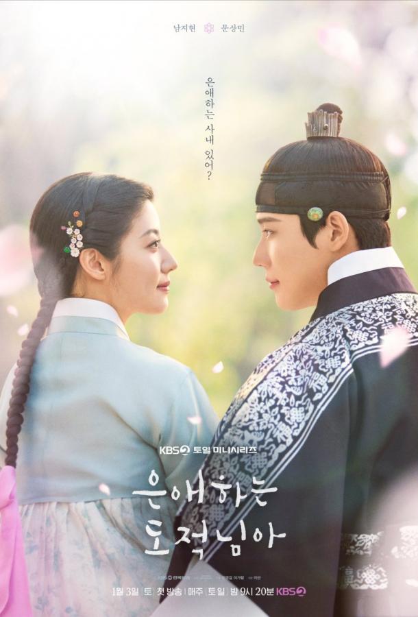 Мой любимый вор (2026)